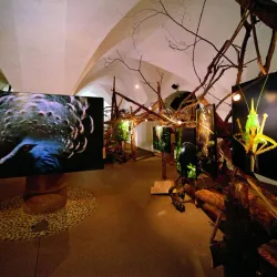South Tyrol Museum of Natural Sciences - Bolzano-Bozen
