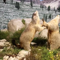 South Tyrol Museum of Natural Sciences - Bolzano-Bozen