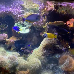 South Tyrol Museum of Natural Sciences - Bolzano-Bozen