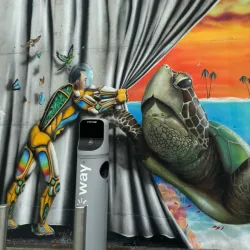 Local Artisan Workshops - Bormida