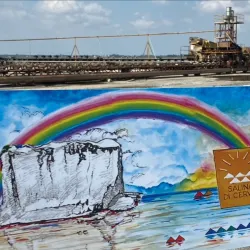 Local Artisan Workshops - Bormida