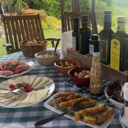 Local Olive Groves and Vineyards - Bormida