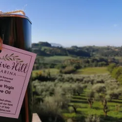 Local Olive Groves and Vineyards - Bormida