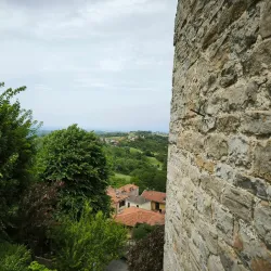 Scenic Drives through the Langhe and Roero Hills - Bormida