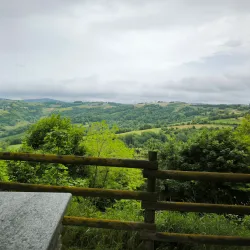 Scenic Drives through the Langhe and Roero Hills - Bormida