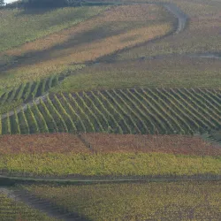 Scenic Drives through the Langhe and Roero Hills - Bormida