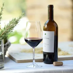 Traditional Piedmontese Cuisine Experiences - Bormida