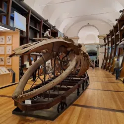 Abruzzo Regional Museum of Natural Sciences (Museo Regionale di Scienze Naturali) - Borrello