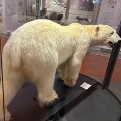 Abruzzo Regional Museum of Natural Sciences (Museo Regionale di Scienze Naturali) - Borrello