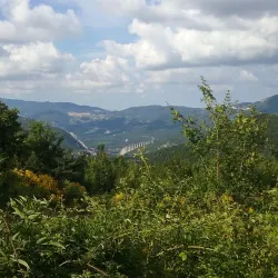 Borrello Historic Center - Borrello