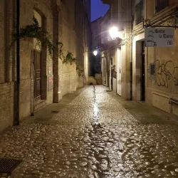 Local Festivals and Events - Borrello