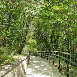 Nature Trails and Hiking Paths - Borrello