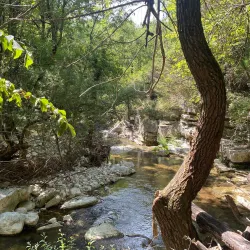 Nature Trails and Hiking Paths - Borrello