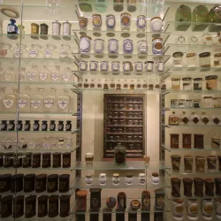 Pharmacy Museum (Apothekenmuseum) - Bressanone