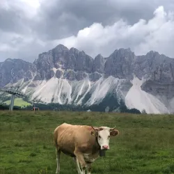 Plose Mountain - Bressanone