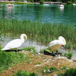 Toblach-Dobbiaco Nature Park - Bressanone