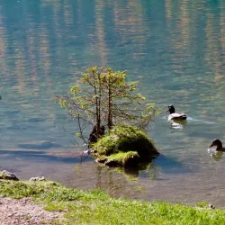 Toblach-Dobbiaco Nature Park - Bressanone