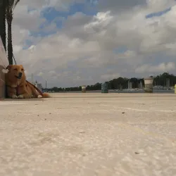 Lungomare Regina Margherita - Brindisi