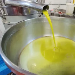 Brisighella Olive Oil Museum - Brisighella