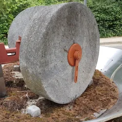 Brisighella Olive Oil Museum - Brisighella