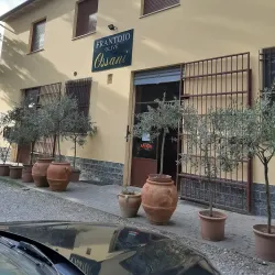 Brisighella Olive Oil Museum - Brisighella