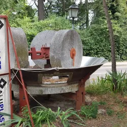 Brisighella Olive Oil Museum - Brisighella