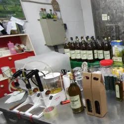 Brisighella Olive Oil Museum - Brisighella