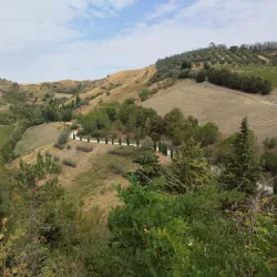 Clock Tower (Torre dell'Orologio) - Brisighella