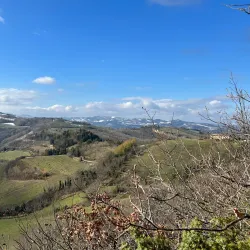 Monte Mauro - Brisighella
