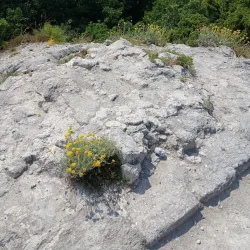 Monte Mauro - Brisighella