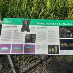 Museo Geopaleontologico "G. Dal Sasso" - Brisighella