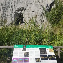 Museo Geopaleontologico "G. Dal Sasso" - Brisighella