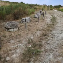 Museo Geopaleontologico "G. Dal Sasso" - Brisighella