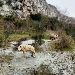 Museo Geopaleontologico "G. Dal Sasso" - Brisighella