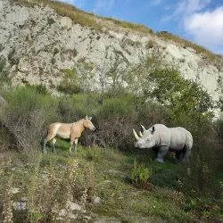 Museo Geopaleontologico "G. Dal Sasso" - Brisighella