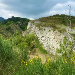 Museo Geopaleontologico "G. Dal Sasso" - Brisighella