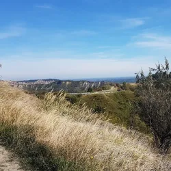 Museo Geopaleontologico "G. Dal Sasso" - Brisighella