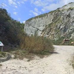 Museo Geopaleontologico "G. Dal Sasso" - Brisighella