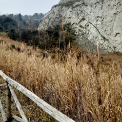 Museo Geopaleontologico "G. Dal Sasso" - Brisighella