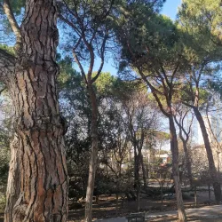 Parco della Rocca - Brisighella