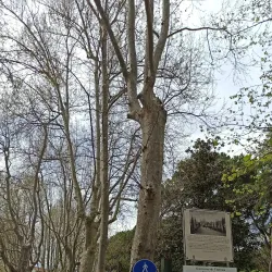 Parco della Rocca - Brisighella