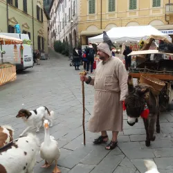 Via degli Asini - Brisighella