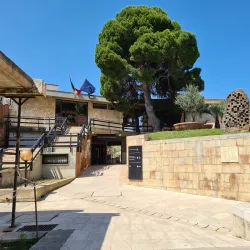 National Archaeological Museum of Cagliari - Cagliari