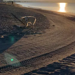 Poetto Beach - Cagliari
