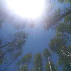Aspromonte National Park - Calabria