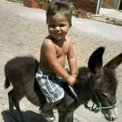 Aspromonte National Park - Calabria