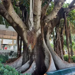 Reggio Calabria Waterfront - Calabria