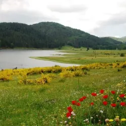 Sila National Park - Calabria