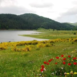 Sila National Park - Calabria