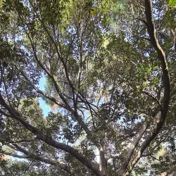 Villa Cordova - Caltanisetta